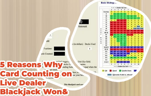 Blackjack card counter software