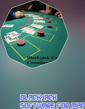 Card counting blackjack software