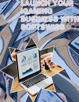 Gambling software development business
