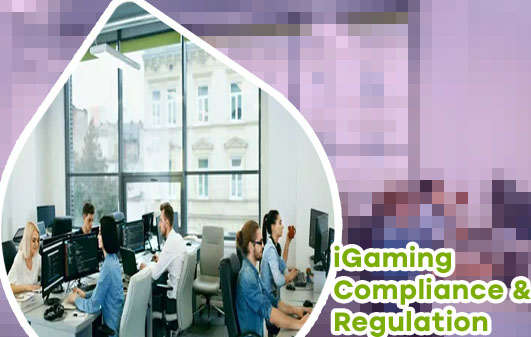 Igaming business software design firm