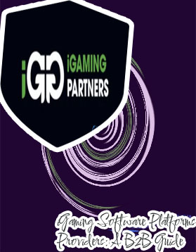 IGaming company software