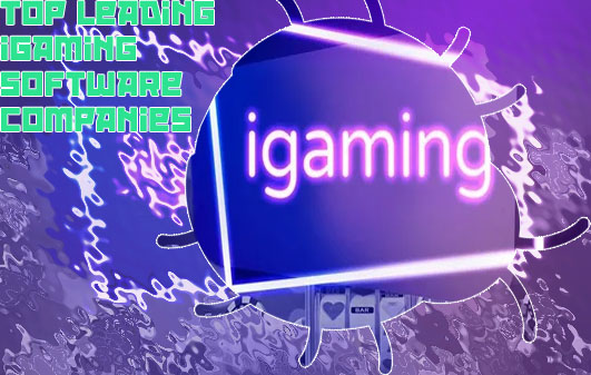 Igaming industry development company