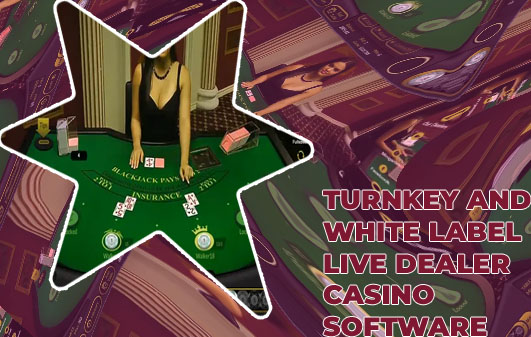 Live dealer casino software