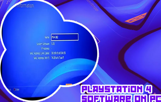 Playstation software