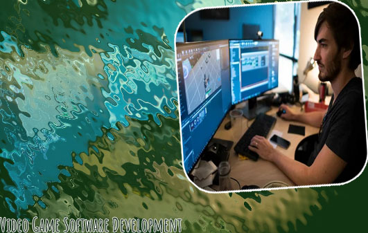 Software developer games