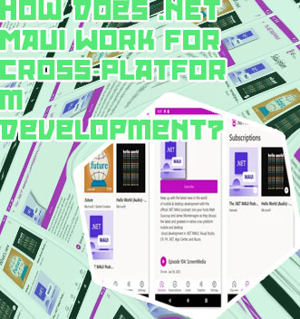Hire .NET maui developer